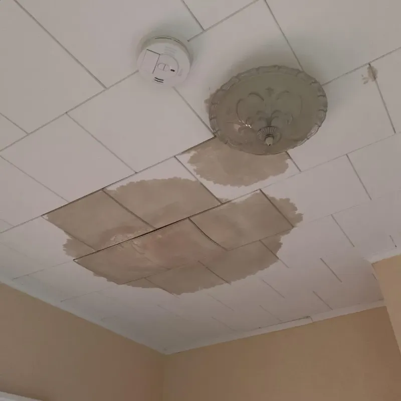 Ceiling Water Damage Repair in Scissors, TX