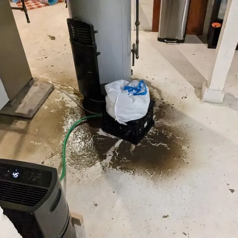 Sewage Backup Cleanup Service in Scissors, TX